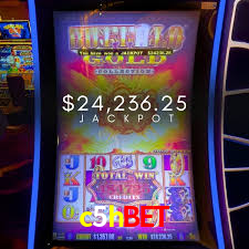 Bônus Generosos e Exclusivos no c5hbet para Você!